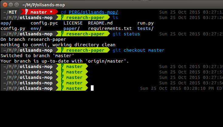 New Terminal